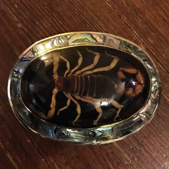 scorpion belt buckle